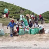 लगाउन अयोग्य भएपछि सिनोभ्याकको ४० लाख डोज खोप प्रयोगमा आएन