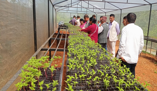५९ औँ अन्तर्राष्ट्रिय साक्षरता दिवस : मधेश प्रदेश अझै कमजोर
