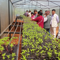 ‘यो मौसम लामखुट्टे नियन्त्रण गर्ने गोल्डेन समय हो’