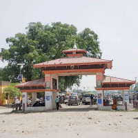 ‘यो मौसम लामखुट्टे नियन्त्रण गर्ने गोल्डेन समय हो’