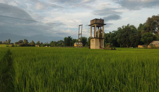 दाङमा भूमिगत जलबाट १६ हजार हेक्टरमा सिँचाइ