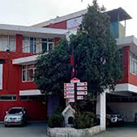 सूर्यमुखी फूलमाथि भ्यानगग