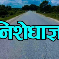 एलपी ग्यास किन्न पाँच वर्षमा बाहिरियो चार खर्ब