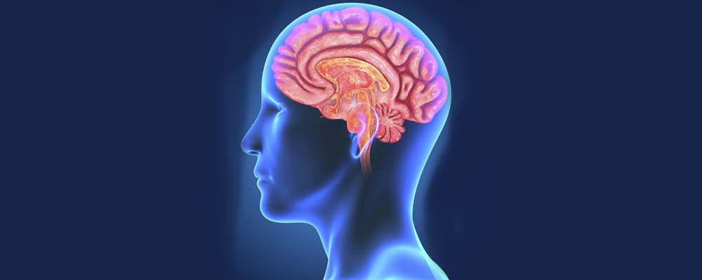 मस्तिष्क मृत्यु भएका एक व्यक्तिबाट तीन जनाको ज्यान बच्ने
