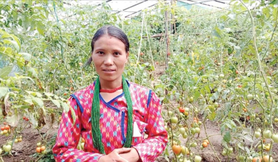तरकारी खेतीले महिला आत्मनिर्भर