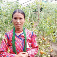 नेदरल्याल्यन्ड्सकी रोमी मधेशमा