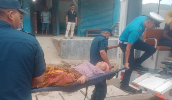 बस र म्याजिक जिप एकआपसमा ठोक्किँदा दुई जना घाइते