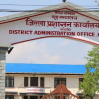 साढे एघार अर्बको गलैँचा निर्यात