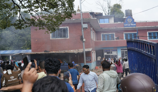 उच्चस्तरीय न्यायिक छानबिन समिति गठन गर्ने निर्णय, सामाजिक सञ्जाल खुला