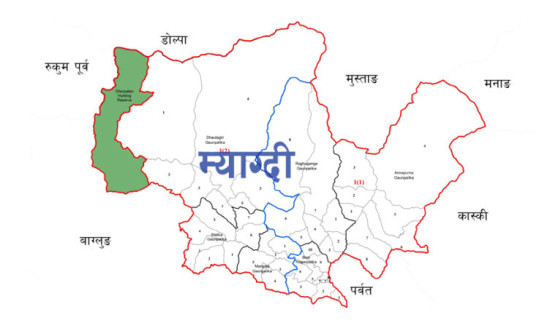 अस्पतालमा घाइतेको भिड