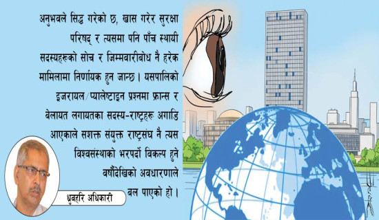 निर्वाचनमा लाभ, हानिको बहस