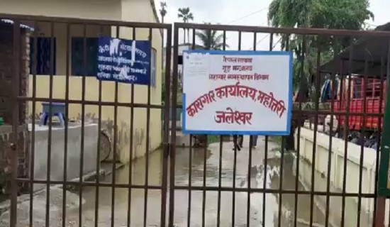 मुस्ताङमा सबै प्रजातिको स्याउ भदौ महिनाभित्रै टिपिने