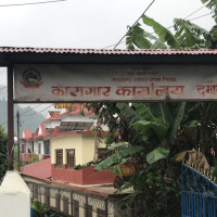भोजपुरमा धानखेतीको क्षेत्र घट्यो