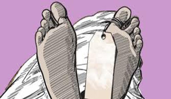 ‘लोकतन्त्रका लागि खतरा’ : ट्रम्पका सहयोगी चार्ली किर्कको हत्या प्रकरणमा विश्व प्रतिक्रिया