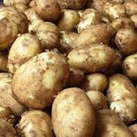 संवाद जारी निष्कर्षको प्रतीक्षा