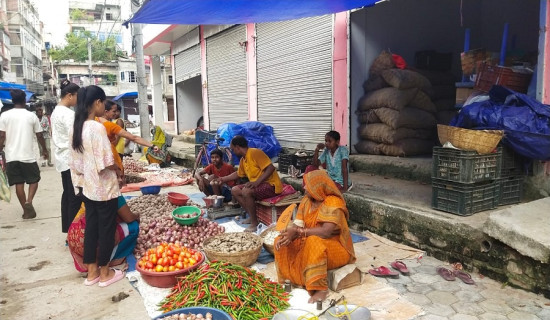 मविव क्याम्पसमा स्ववियु निर्वाचनका लागि ६ वटा मतदान केन्द्र