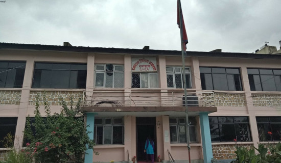 तीजको दर खाएका सयजनाभन्दा बढी बिरामी