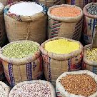 मुगुका किसानलाई स्याउ टिप्न चटारो