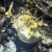 भ्रामक समाचारमा विश्वास नगर्न नेपाली सेनाको आग्रह