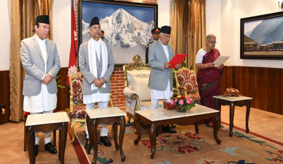 अबैध सालको गोलिया बरामद