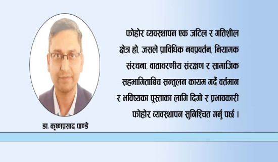 प्रतिनिधि सभा विघटन, फागुन २१ गते निर्वाचन घोषणा