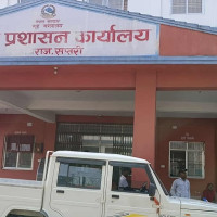 सप्तरीका एक वृद्धमा डेङ्गु पुष्टि