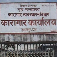 तिम्बुङ पोखरीस्थित क्षेत्रमा चर्दै चौरीगाई (फोटो फिचर)