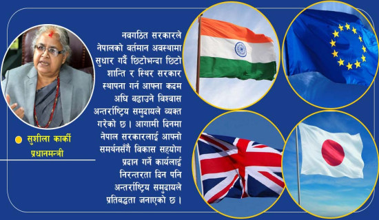 संवैधानिक परिषद्को बैठक सुरु