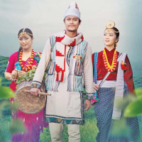 लोकमार्गको जङ्गली क्षेत्र जोखिमपूर्ण