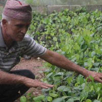 नेपालको संविधानले बालबालिकाको हकलाई सुनिश्चित गरेको छ : राष्ट्रपति