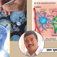 निसानामा पार्टी कार्यालय र नेताका घर