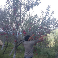 चाडपर्वमा यातायात व्यवस्थित गर्न उच्चस्तरीय समिति गठन गर्ने निर्णय