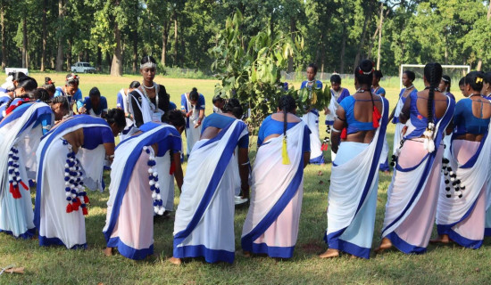 आयोग प्रभावकारी नबनेको भन्दै डा. ढुङ्गेलद्वारा पदत्याग