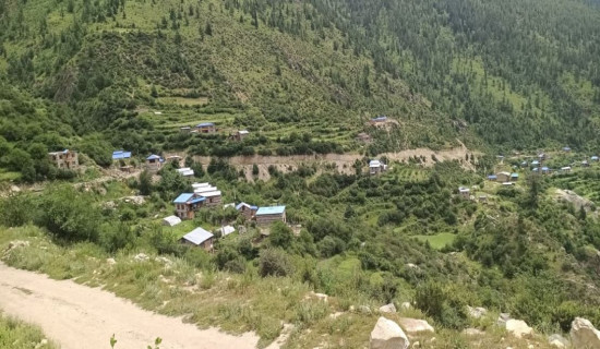 डाँडाफया गाउँमा दैनिकजसो घर तोडफोड