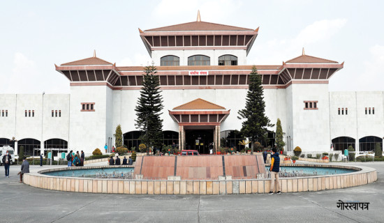 ‘मतदान गर्न जागौँ, उठौँ सारा’