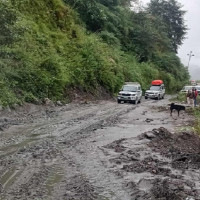 सखिया नाच सुरु