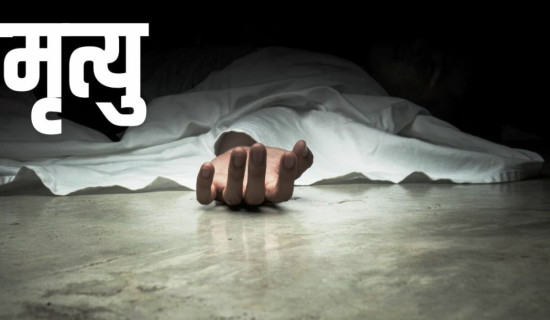 युरोपमा यस गर्मी १६ हजार ५ सय मृत्यु जलवायु परिवर्तनसँग जोडिएको