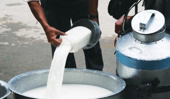 दूध बिक्री गरेर मासिक एक लाख आम्दानी