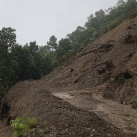 महिला क्रिकेट टोली फर्कियो