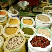 ‘संसद् प्रतिपक्षीको हो भन्ने मानक स्थापित गर्नुभयो’