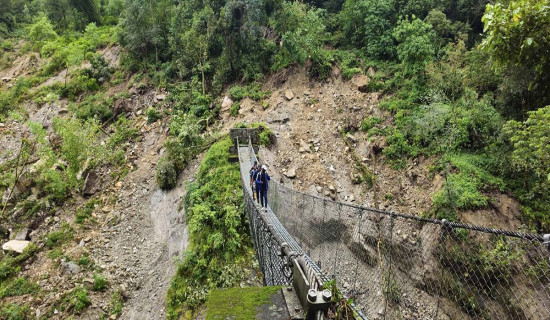 पहिरोले झोलुङ्गे पुलमा क्षति