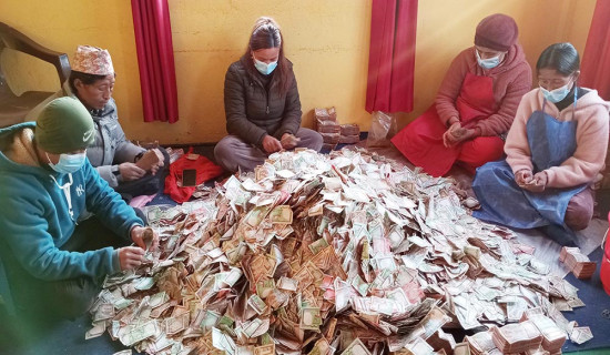 एकल आमाका सन्तानबारे नागरिकता ऐन अझै अपूर्ण