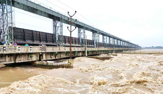 कोशी ब्यारेजका २७ ढोका खोलिए