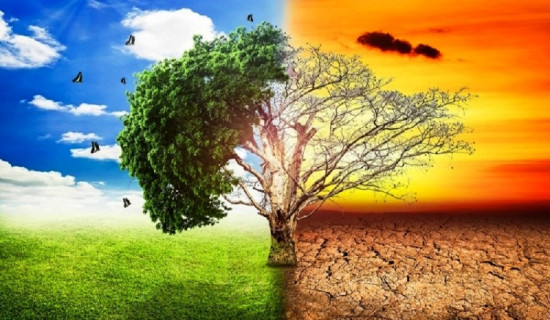 जलवायु परिवर्तन नियन्त्रणका लागि इराकले लगानी बढाउँदै