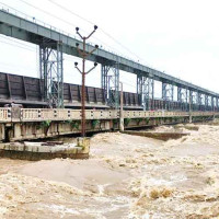देखासिकीमा जबरजस्ती योग गर्नुहुँदैन