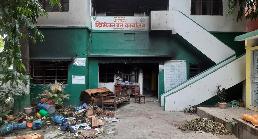 जेनजी प्रदर्शन : वन डिभिजन कार्यालयमा एक करोड ७१ लाखभन्दा बढीको क्षति
