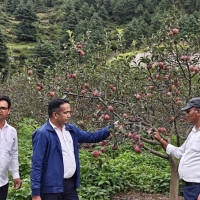 यस्तो छ आजका लागि विदेशी मुद्राको विनिमय दर