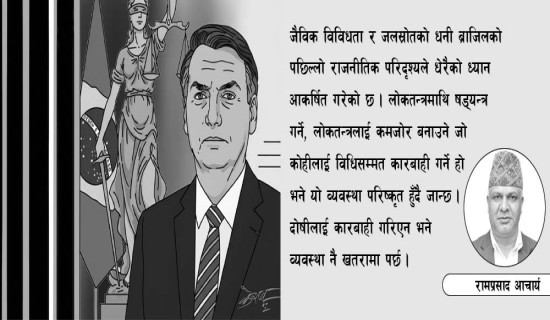 लोकतन्त्रमाथिको षड्यन्त्र दण्डनीय