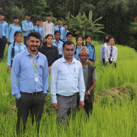 नयाँ स्पर जातका स्याउ सिफारिस