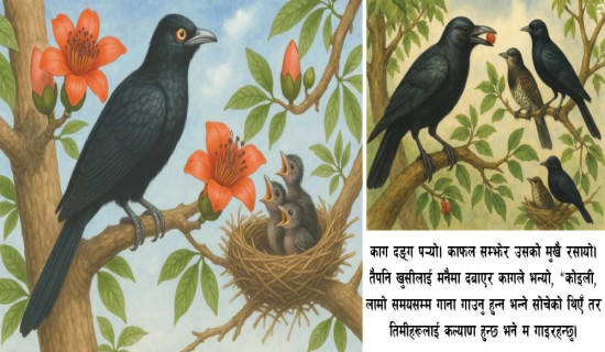 जुक्तिबाट मुक्ति